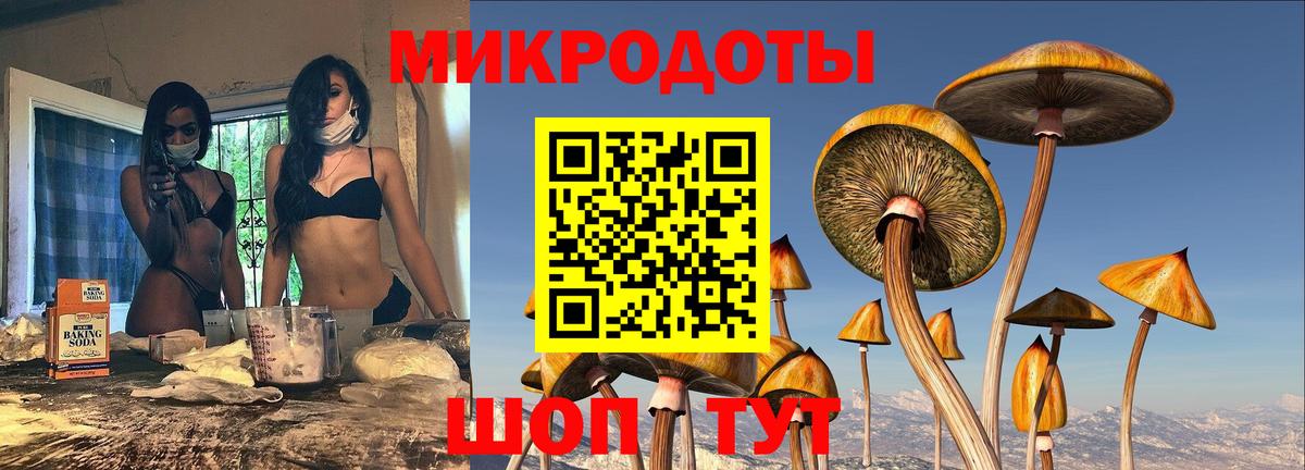 Галлюциногенные грибы MAGIC MUSHROOMS Похвистнево