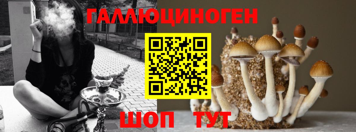 Похвистнево  Галлюциногенные грибы мухоморы  Вход с VPN 